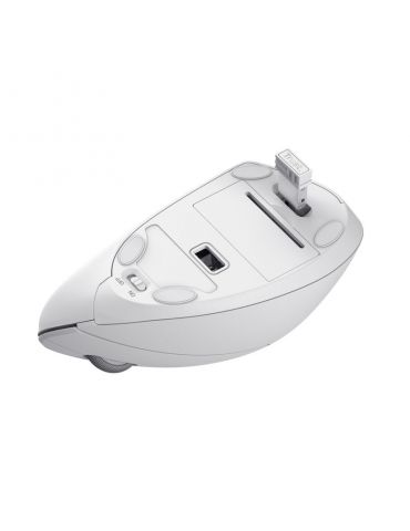 Trust Verto mouse-uri Mâna dreaptă RF fără fir Optice 1600 DPI