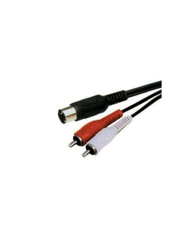Cablu 5din-2xrca - Tik.ro