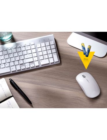 Varta 04903 Baterie de unică folosință AAA Alcalină