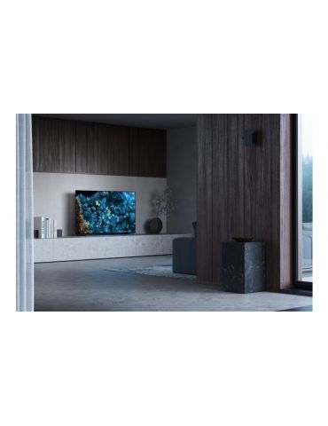 Sony FWD-65A80L televizor 165,1 cm (65") 4K Ultra HD Smart TV Wi-Fi Negru