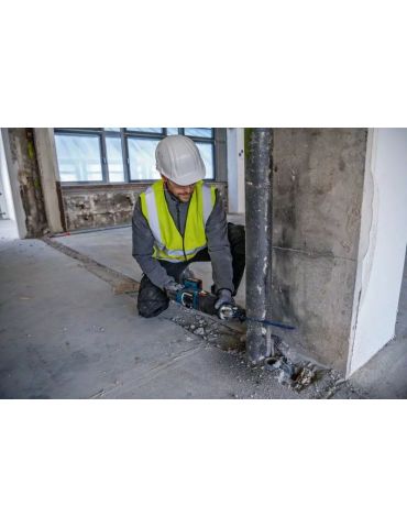 Bosch GSA 185-LI 2900 spm Negru, Albastru