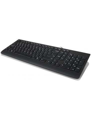 Lenovo 300 tastaturi Mouse inclus USB QWERTY Engleză SUA Negru