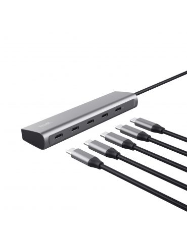 Trust Halyx USB 3.2 Gen 1 (3.1 Gen 1) Type-C Argint