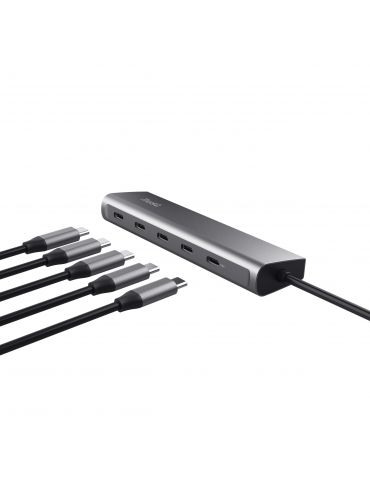 Trust Halyx USB 3.2 Gen 1 (3.1 Gen 1) Type-C Argint