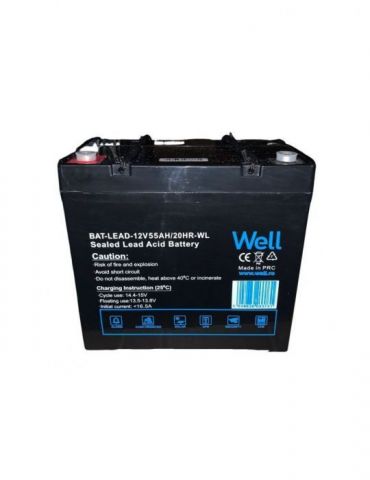 Acumulator plumb acid Well... - Tik.ro