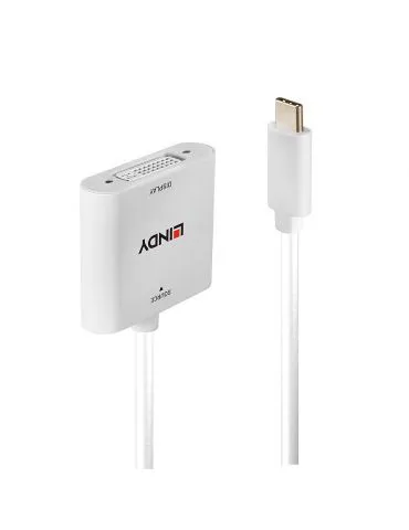 Lindy 43338 adaptor pentru cabluri video 0,1 m USB tip-C DVI Alb - Tik.ro