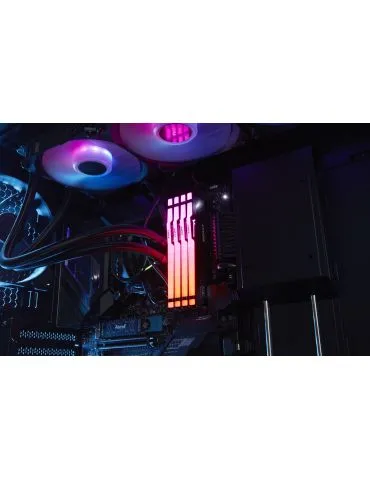 Kingston Technology FURY Beast RGB module de memorie 8 Giga Bites 1 x 8 Giga Bites DDR5 CCE