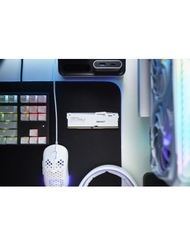 Kingston Technology FURY Beast RGB module de memorie 64 Giga Bites 2 x 32 Giga Bites DDR5 CCE