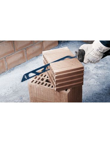 Bosch 2 608 900 417 lamă pentru fierestrău mecanic, fierăstrău de traforaj fierăstrău sabie Pânză de ferăstrău Carbid 1 buc.