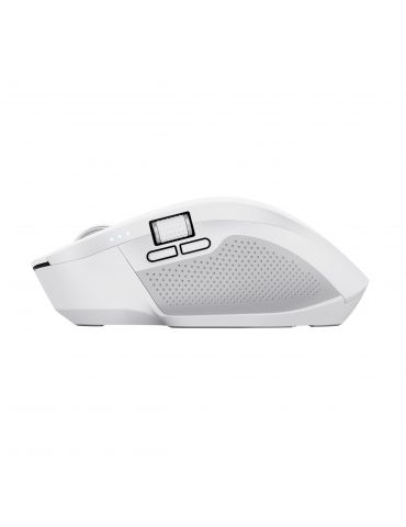 Trust Ozaa+ mouse-uri Mâna dreaptă RF Wireless + Bluetooth Optice 3200 DPI