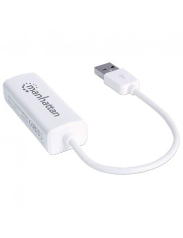 Manhattan 506731 card de rețea Ethernet 100 Mbit s