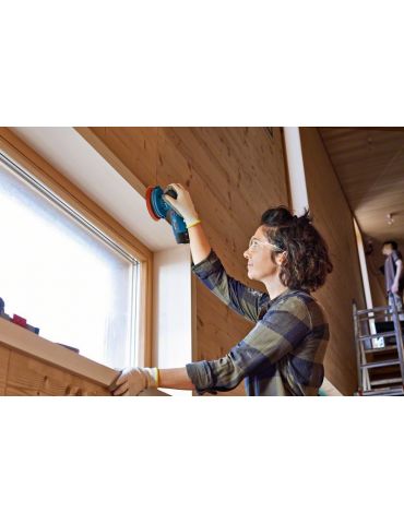 Bosch GEX 12V-125 Professional
