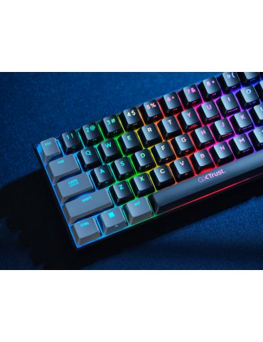Trust GXT 867 Acira tastaturi Gaming USB QWERTY Engleză SUA Negru