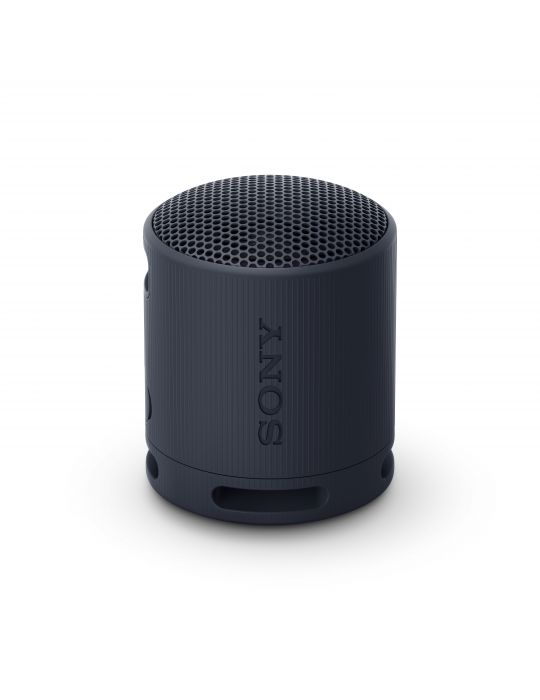 Sony SRS-XB100 Boxă mono portabilă Negru