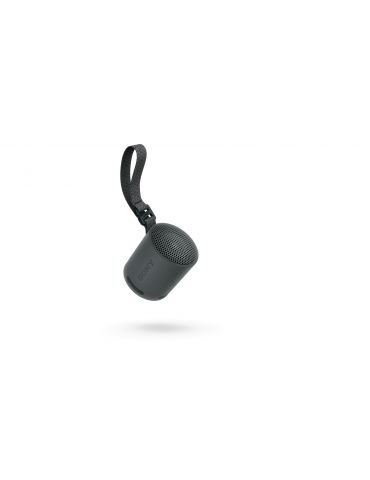 Sony SRS-XB100 Boxă mono portabilă Negru