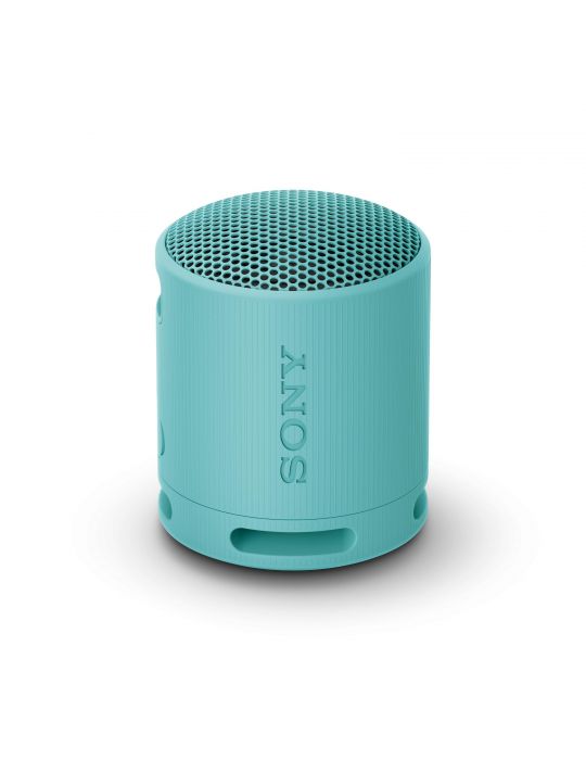 Sony SRS-XB100 Boxă mono portabilă Albastru