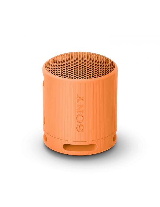 Sony SRS-XB100 Boxă mono portabilă Portocală