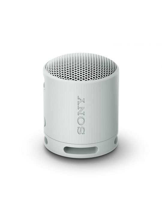 Sony SRS-XB100 Boxă mono portabilă Gri