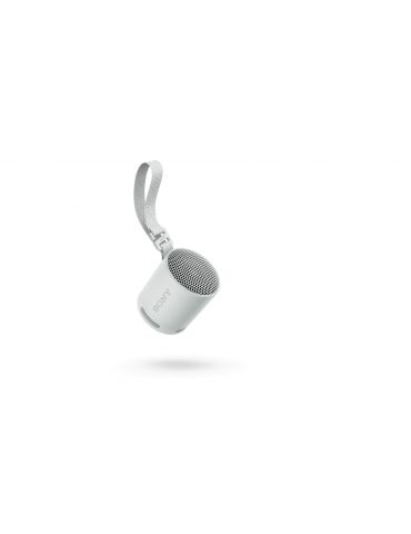 Sony SRS-XB100 Boxă mono portabilă Gri