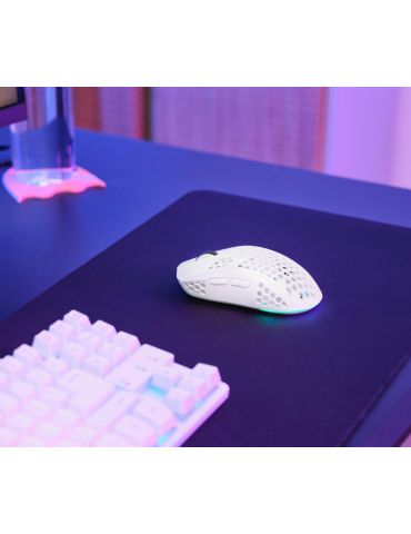 Trust GXT 929 Helox mouse-uri Gaming Mâna dreaptă RF fără fir Optice 4800 DPI