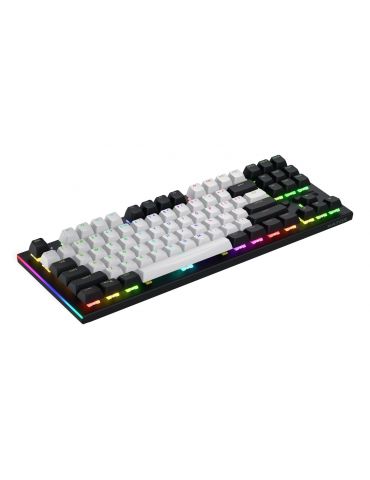 HATOR Gravity TKL tastaturi Gaming USB QWERTY Engleză SUA Negru