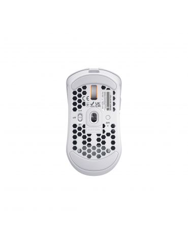 HATOR Stellar Pro Wireless mouse-uri Gaming Mâna dreaptă RF Wireless + Bluetooth + USB Type-A Optice 26000 DPI
