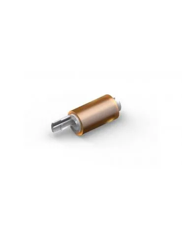 Epson C12C937321 piese de schimb pentru echipamente de imprimare Rolă alimentare hârtie 1 buc. - Tik.ro