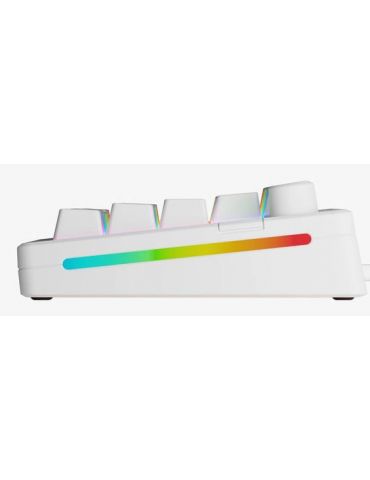 Glorious Gaming GMMK 3 Prebuilt tastaturi USB QWERTY Engleză SUA Alb
