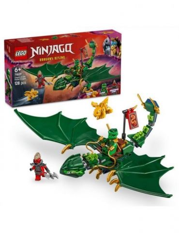 Dragonul de padure al lui... - Tik.ro