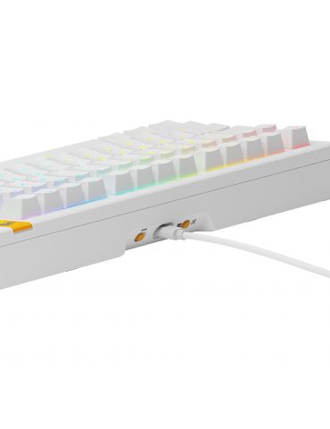 Glorious Gaming GMMK 3 HE 75% Prebuilt tastaturi USB QWERTY Engleză SUA Alb