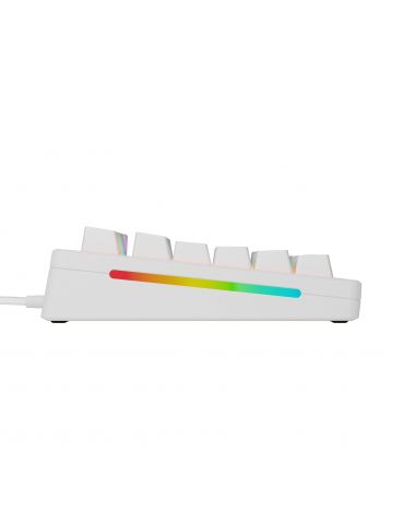 Glorious Gaming GMMK 3 HE 75% Prebuilt tastaturi USB QWERTY Engleză SUA Alb