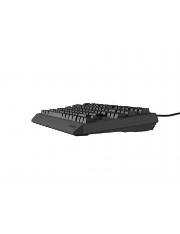 GENESIS Thor 230 TKL tastaturi Gaming USB + RF Wireless + Bluetooth QWERTY Negru