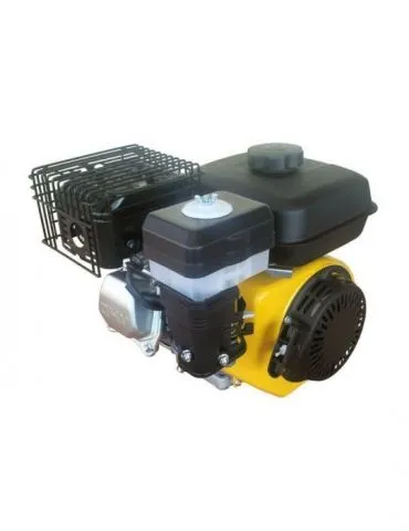 Hl170ft motor benzina 4.4kw... - Tik.ro
