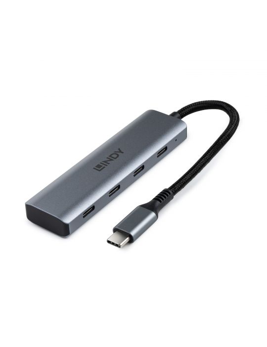 Lindy 43414 hub-uri de interfață USB 3.2 Gen 2 (3.1 Gen 2) Type-C 10000 Mbit s Gri