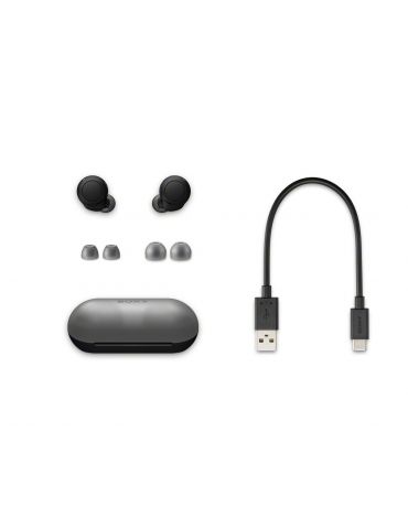 Sony WF-C500 Căști True Wireless Stereo (TWS) În ureche Apeluri Muzică Bluetooth Negru