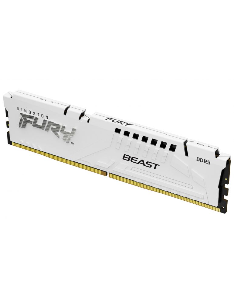 Kingston Technology FURY Beast module de memorie 32 Giga Bites 1 x 32 Giga Bites DDR5 6000 MT/s