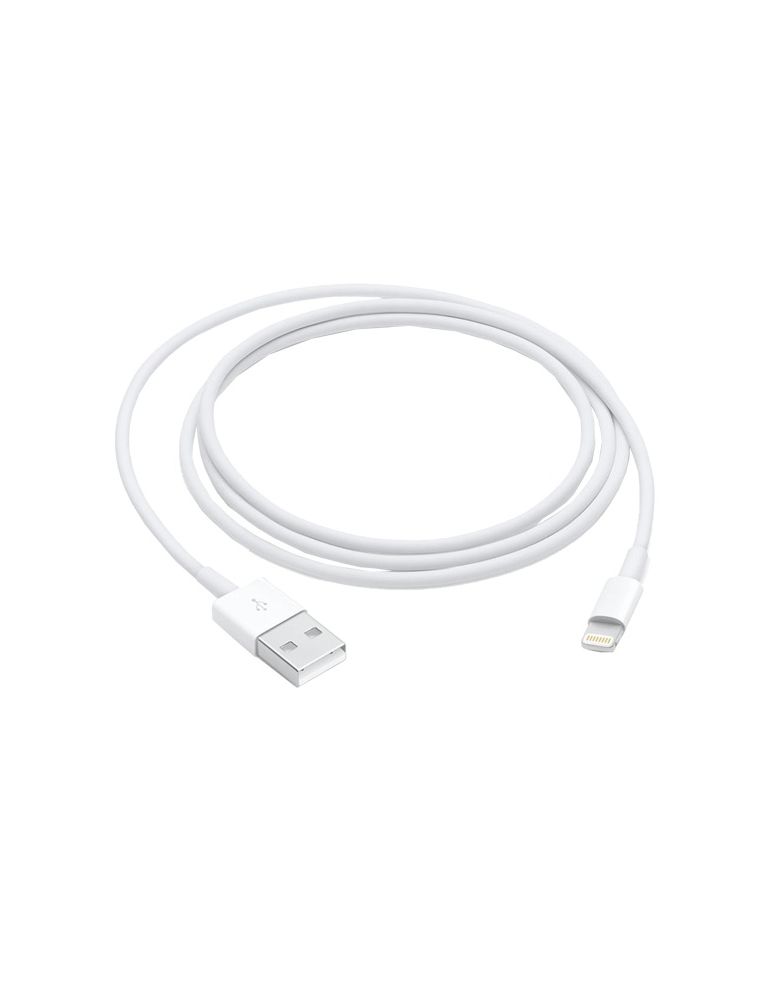 Apple lightning to usb cable (1 m)