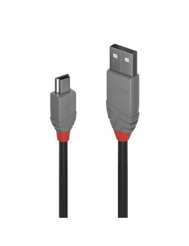 Cablu lindy 2m usb 2.0 type... - Tik.ro
