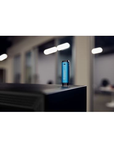 Kingston Technology IronKey Vault Privacy 50 memorii flash USB 256 Giga Bites USB Tip-A 3.2 Gen 1 (3.1 Gen 1) Negru, Albastru