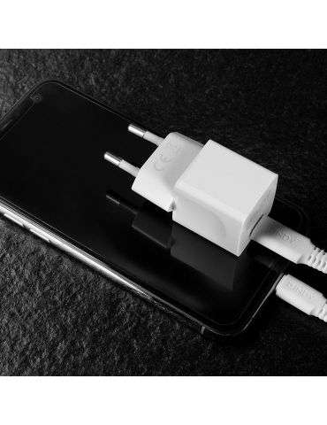 Lindy 73410 încărcătoare pentru dispozitive mobile Smartphone Alb AC De interior