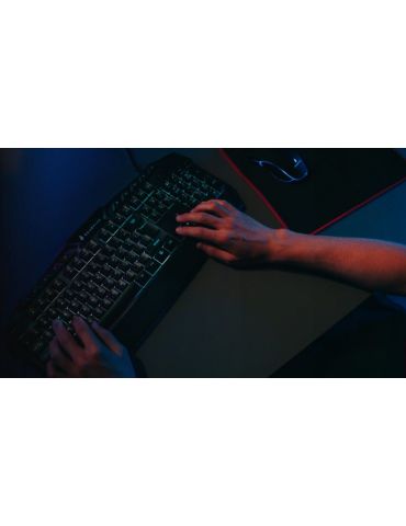 Verbatim 48826 tastaturi Mouse inclus Gaming USB QWERTY Englez Negru