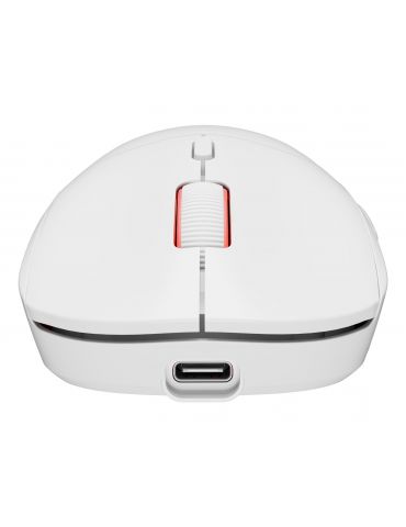 GENESIS Zircon XIII mouse-uri Gaming Ambidextru RF Wireless + USB Type-C Optice 26000 DPI