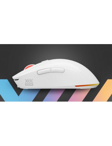 GENESIS Zircon XIII mouse-uri Gaming Ambidextru RF Wireless + USB Type-C Optice 26000 DPI
