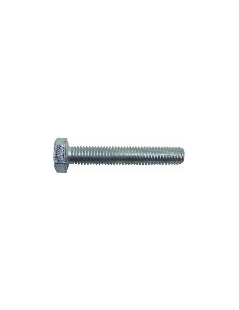 SURUBURI METRICE CU CAP HEXAGONAL M10X30MM, 100/SET