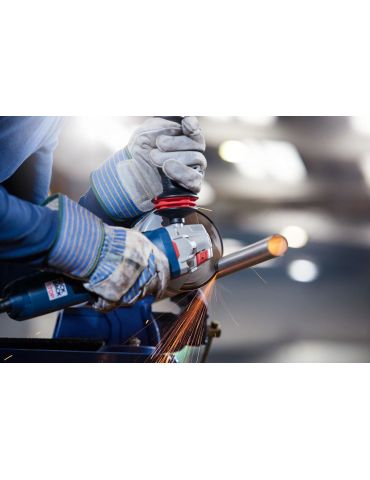 Bosch AS 46 T INOX BF Disc tăiere