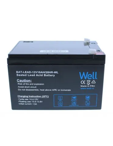 Acumulator plumb acid Well... - Tik.ro