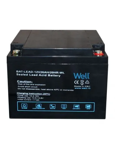 Acumulator plumb acid Well... - Tik.ro