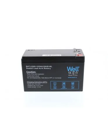 Acumulator plumb acid Well... - Tik.ro