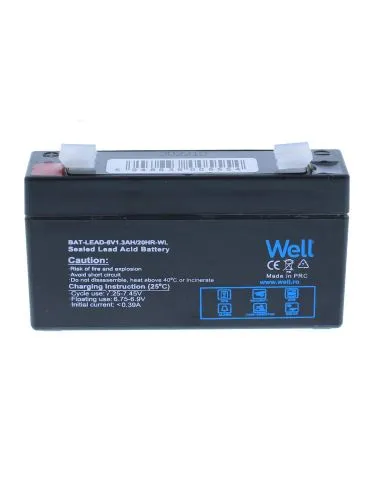 Acumulator plumb acid Well... - Tik.ro