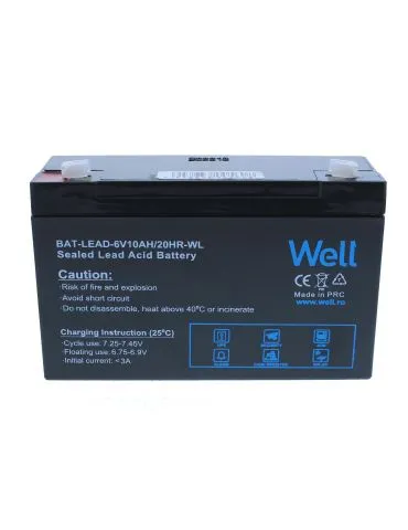 Acumulator plumb acid Well... - Tik.ro